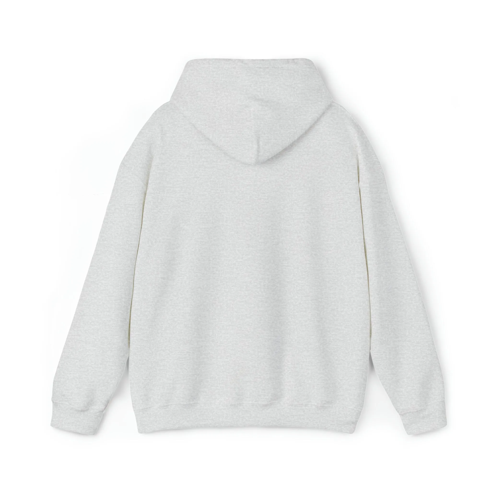 College Tailgate Apparel - Sports Game Day Hoodie Sweatshirt- College Football