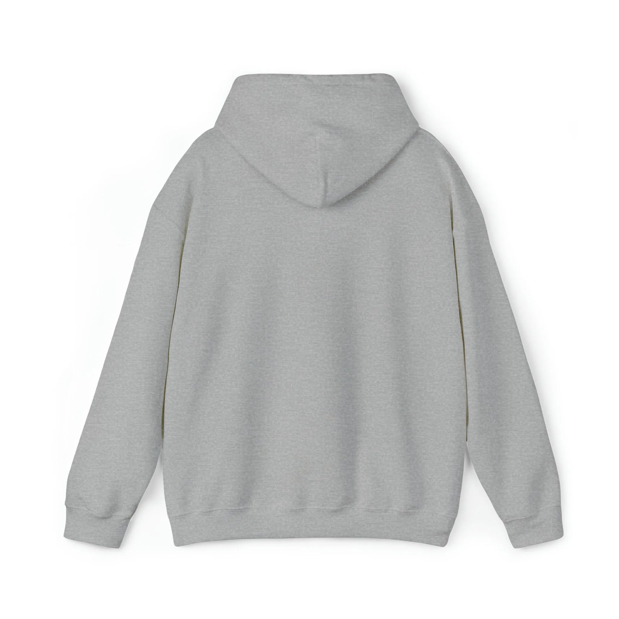 College Tailgate Apparel - Sports Game Day Hoodie Sweatshirt- College Football