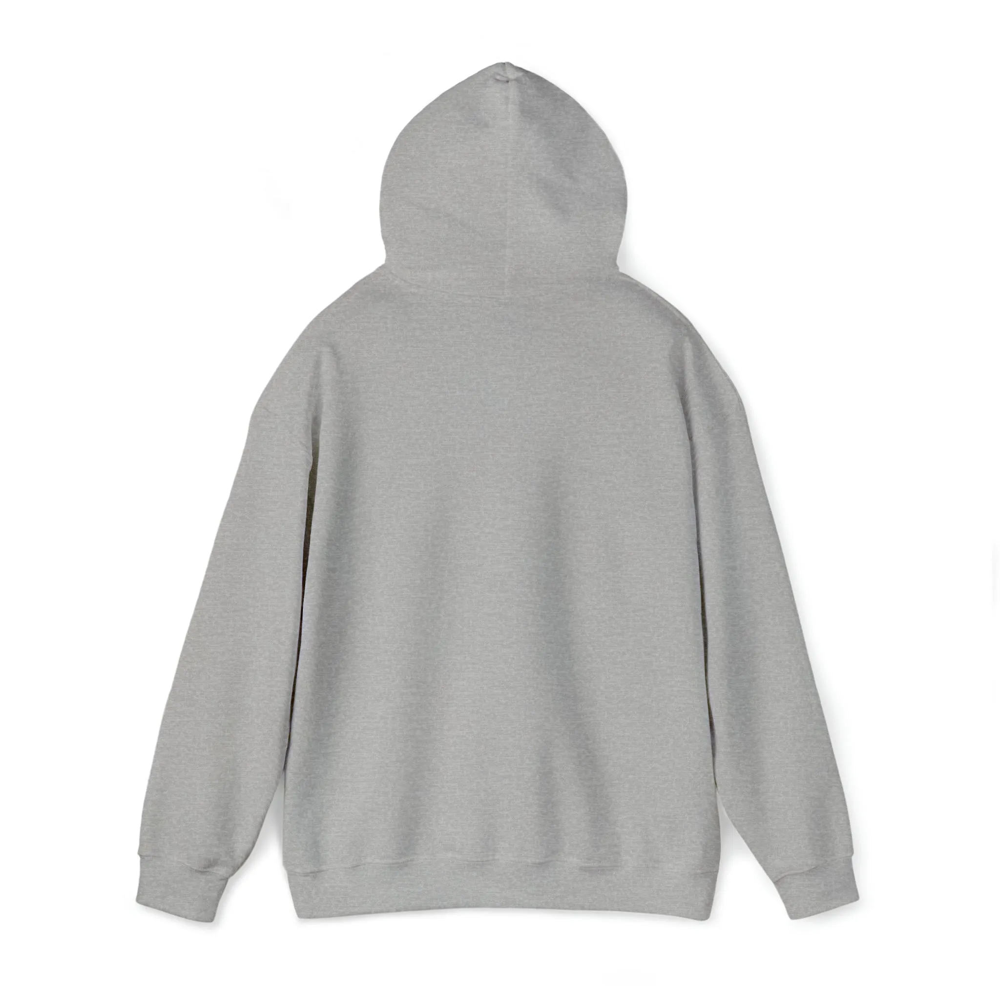 College Tailgate Apparel - Sports Game Day Hoodie Sweatshirt- College Football