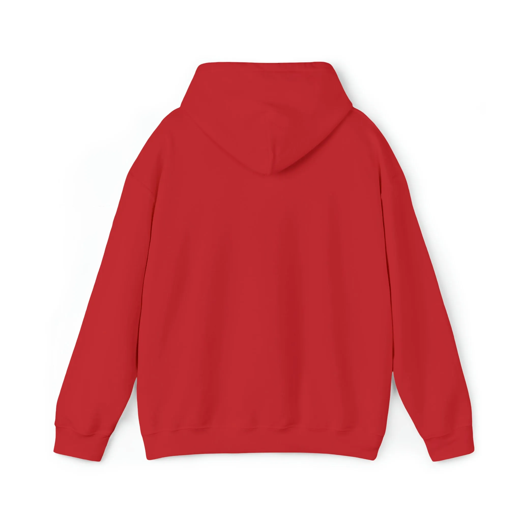 College Tailgate Apparel - Sports Game Day Hoodie Sweatshirt- College Football