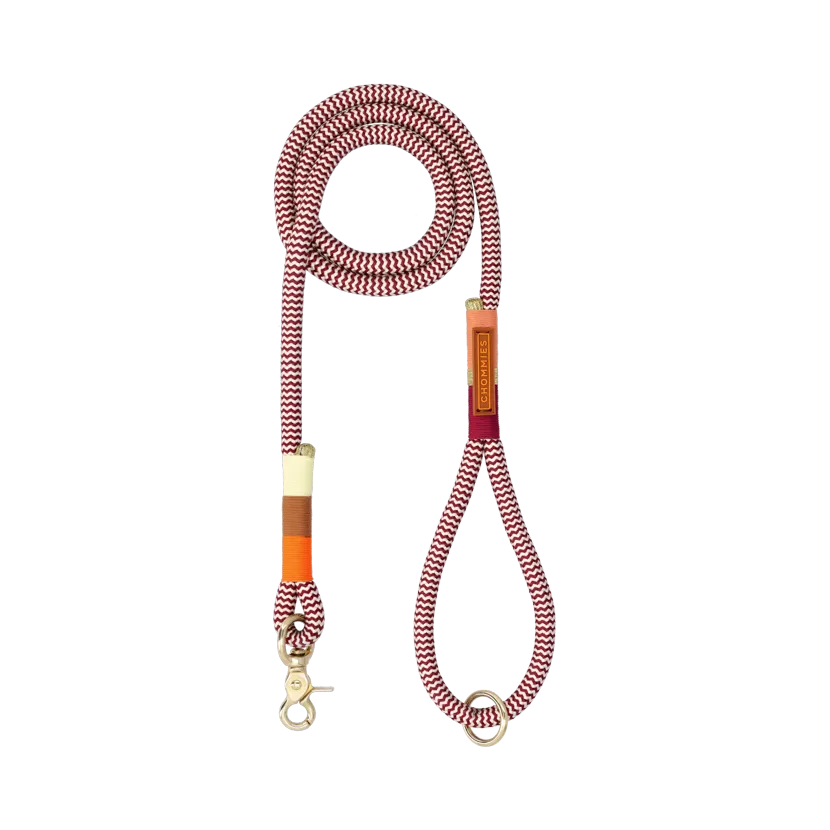 Everyday Dog Leash | Autumn