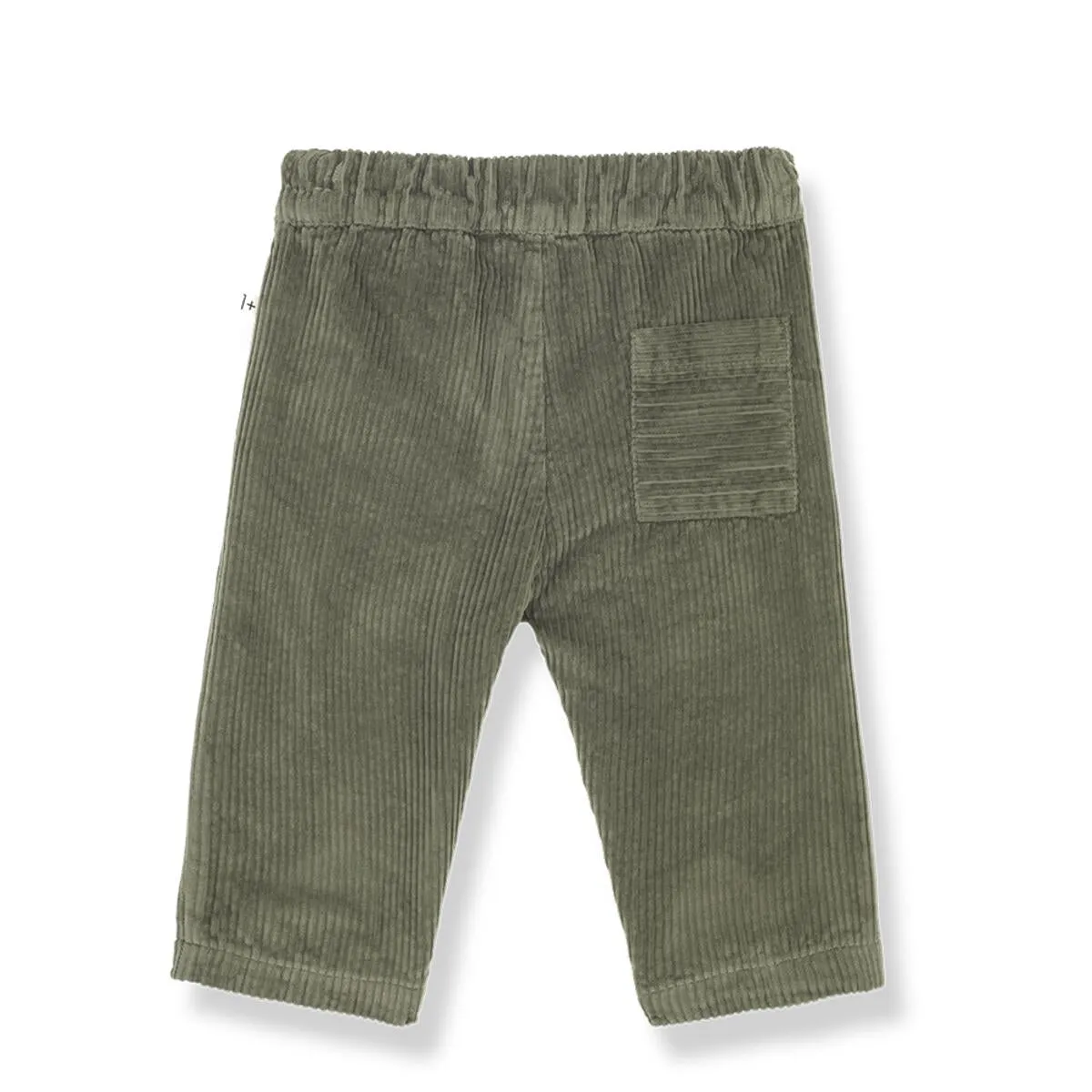 Ovidi Pant in Olive