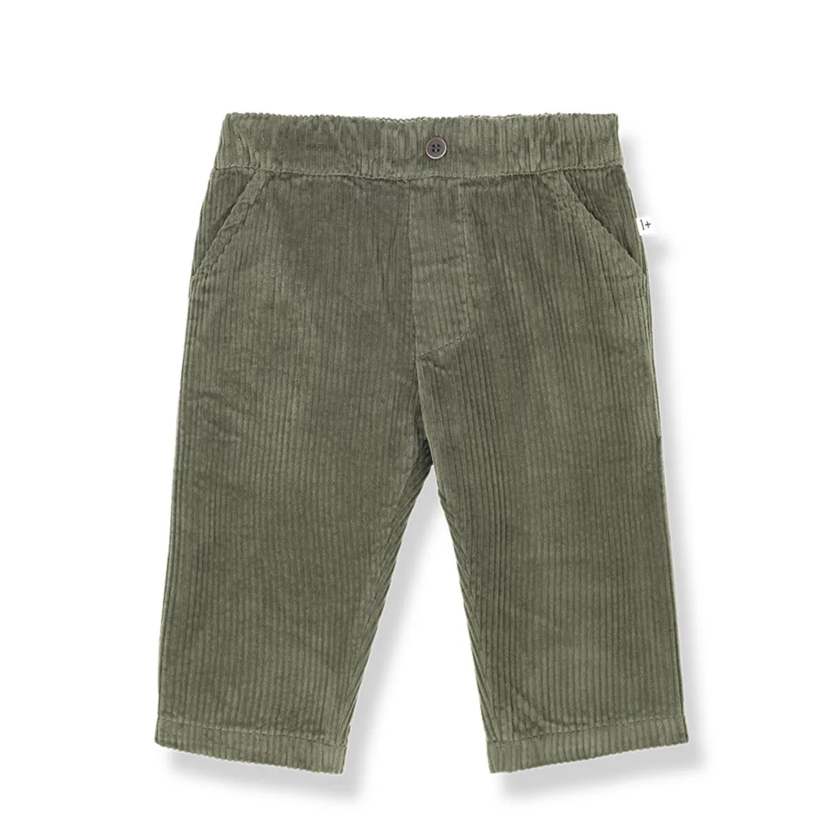 Ovidi Pant in Olive